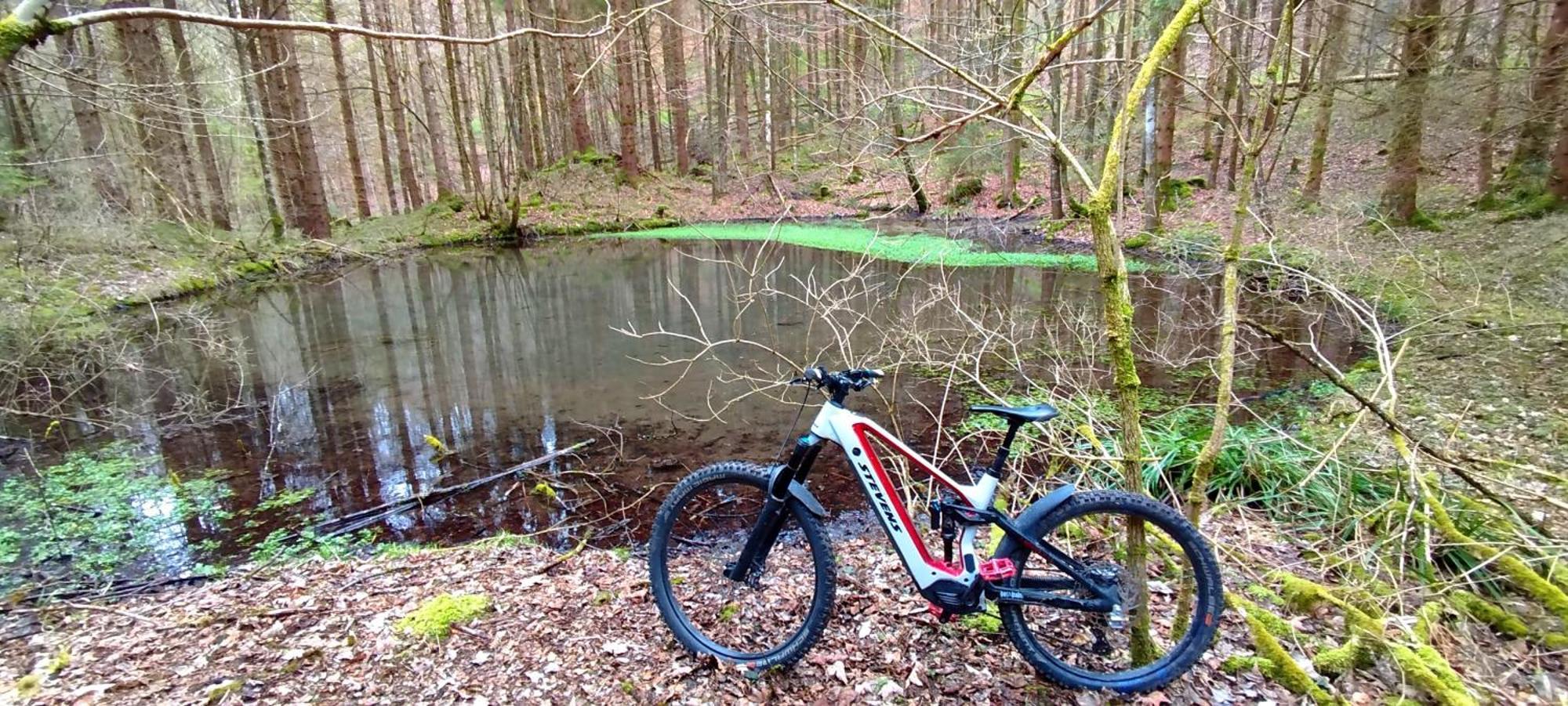 Ferienwohnung Hecht - Biketrail Fun & Relaxing Wolfegg Luaran gambar