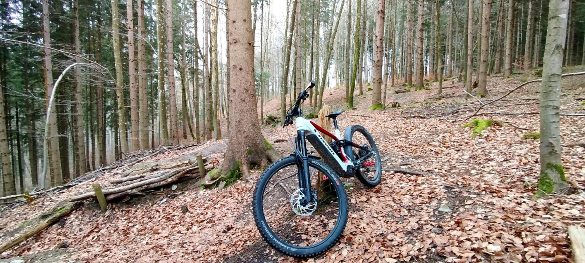 Ferienwohnung Hecht - Biketrail Fun & Relaxing Wolfegg Luaran gambar
